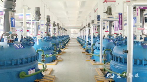 宜昌誠凱化工科研投入超500萬元，新興能源技術研發成新引擎